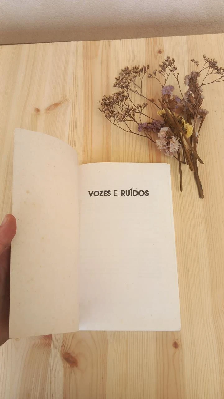Voix et bruits : Dialogues avec des adolescents | Daniel Sampaio – photo 3